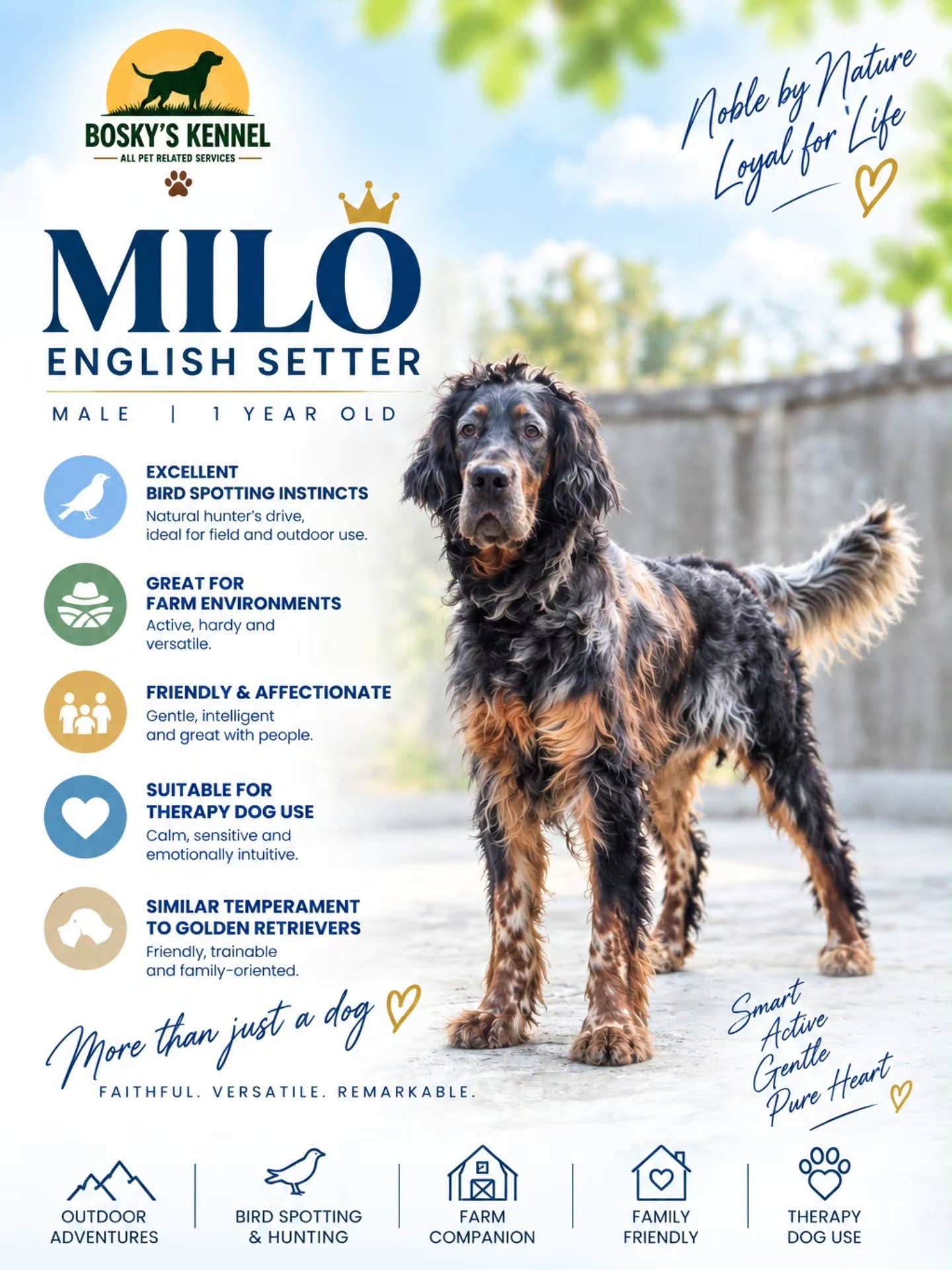 Looking for an Adult Dog in Siliguri with a friendly,